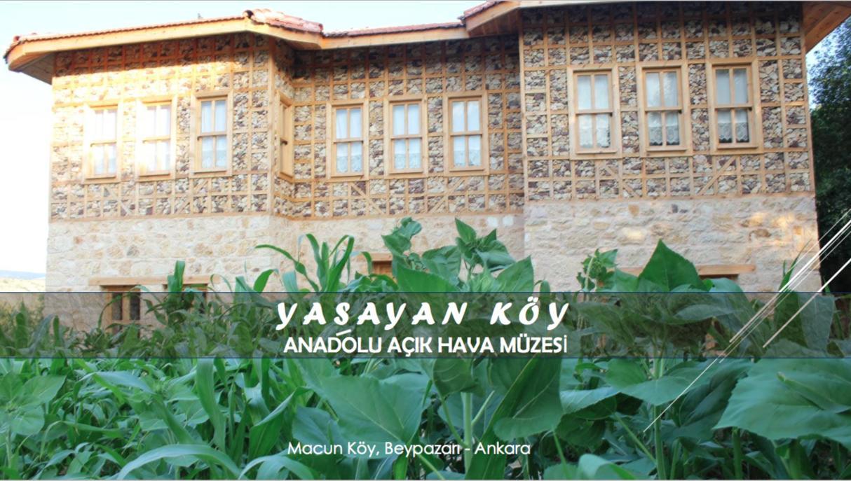 Yasayan Koy Hotel Kizilcasogut Luaran gambar