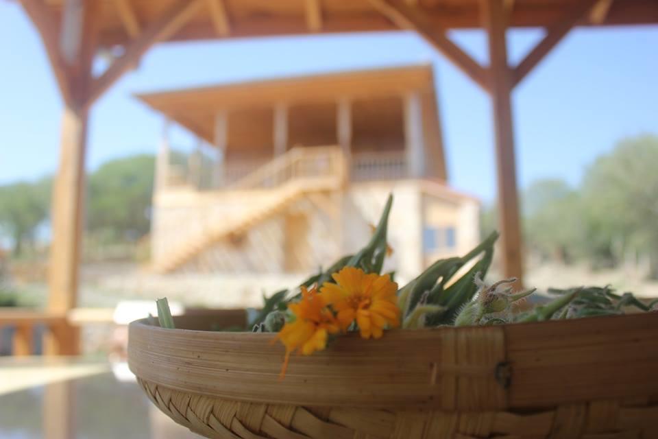 Yasayan Koy Hotel Kizilcasogut Luaran gambar