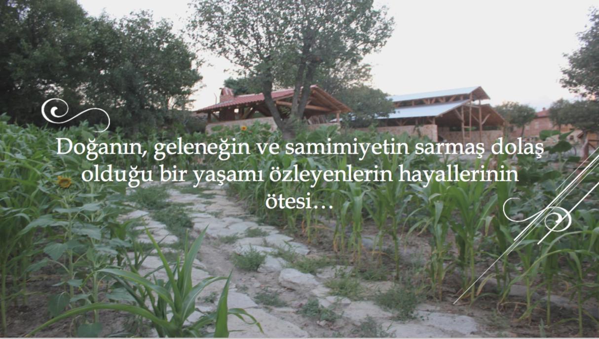 Yasayan Koy Hotel Kizilcasogut Luaran gambar